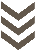 arrowhead icon