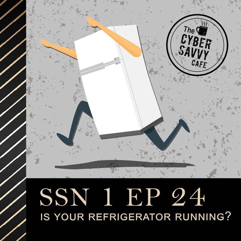 Ssn 1 Ep 24 How to use your IoT devices without getting hacked podcast cover